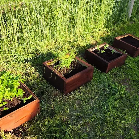 Holiday home Na Lace *