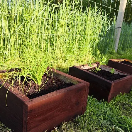 Holiday home Na Lace