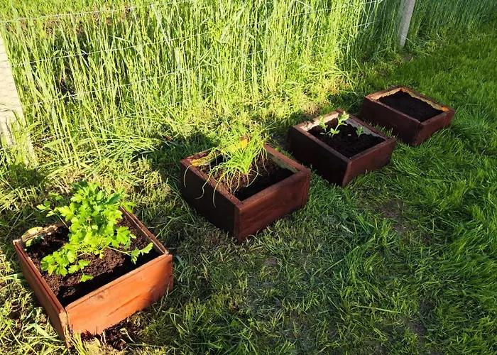 Dom wakacyjny Na łące *