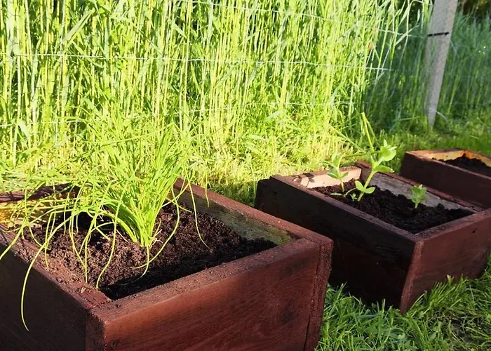 Dom wakacyjny Na łące